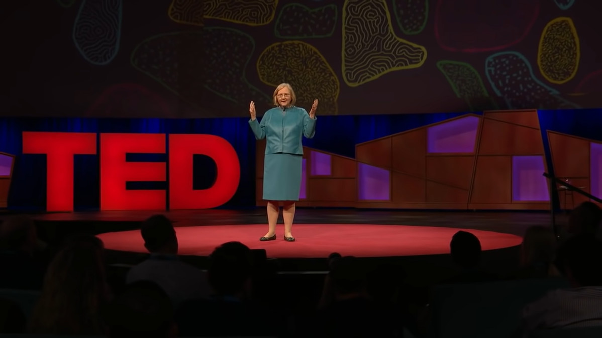 2017 TED Talk
