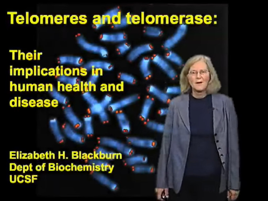 The Roles of Telomeres and Telomerase